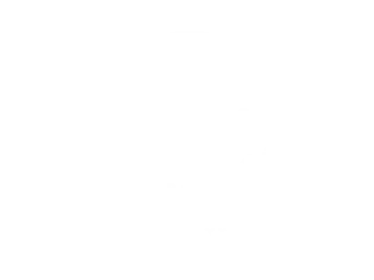 Concha y Toro